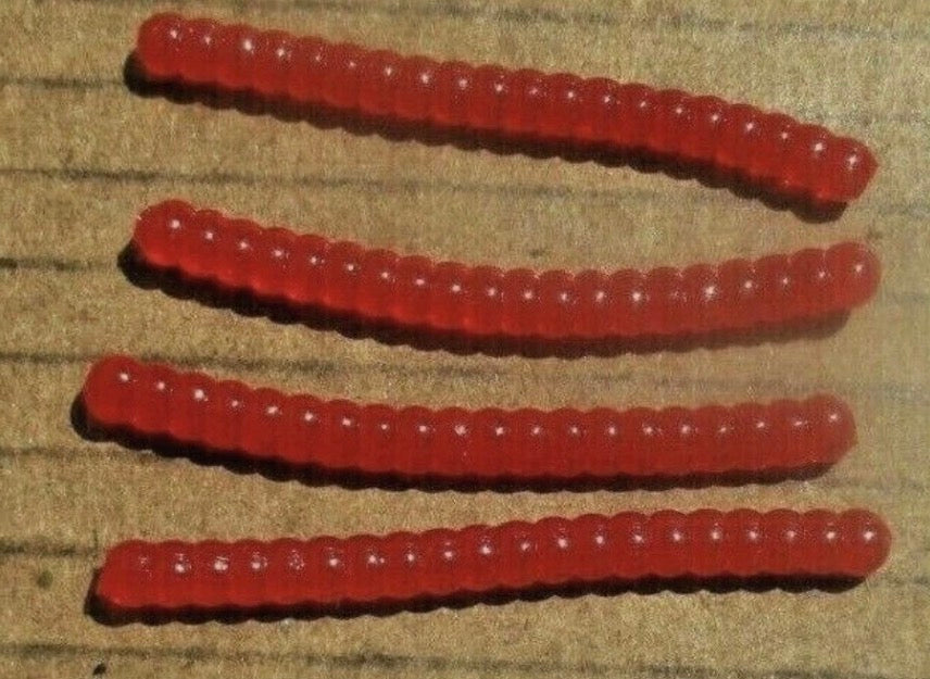 WORMS Crappie Fishing Lures Soft Plastic Panfish Baits Bream Assorted Colors