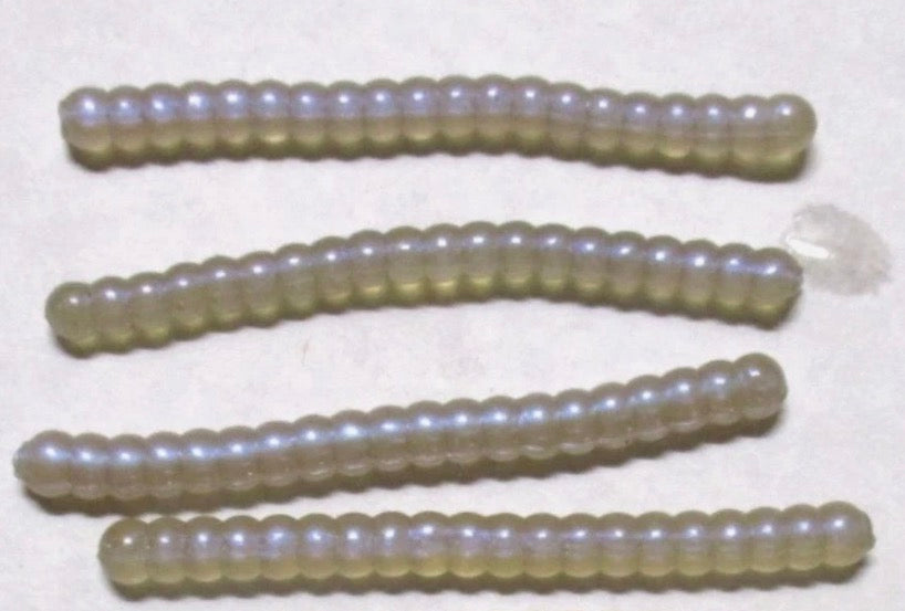 WORMS Crappie Fishing Lures Soft Plastic Panfish Baits Bream Assorted Colors